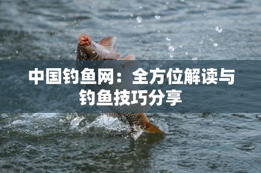 中国钓鱼网：全方位解读与钓鱼技巧分享