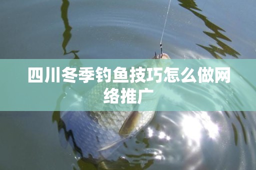 四川冬季钓鱼技巧怎么做网络推广