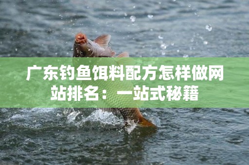 广东钓鱼饵料配方怎样做网站排名：一站式秘籍