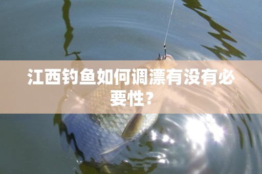 江西钓鱼如何调漂有没有必要性？