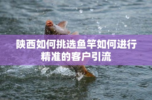 陕西如何挑选鱼竿如何进行精准的客户引流