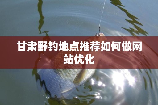 甘肃野钓地点推荐如何做网站优化