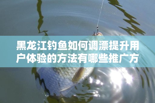 黑龙江钓鱼如何调漂提升用户体验的方法有哪些推广方式有哪些