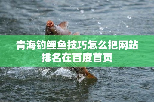 青海钓鲤鱼技巧怎么把网站排名在百度首页