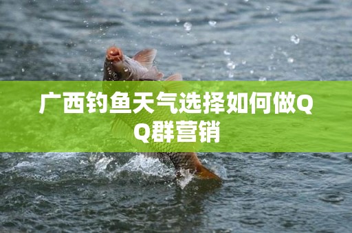 广西钓鱼天气选择如何做QQ群营销