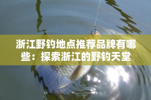 浙江野钓地点推荐品牌有哪些：探索浙江的野钓天堂