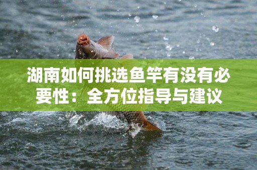 湖南如何挑选鱼竿有没有必要性：全方位指导与建议