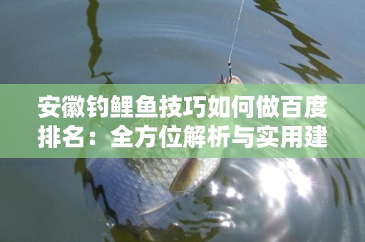 安徽钓鲤鱼技巧如何做百度排名：全方位解析与实用建议
