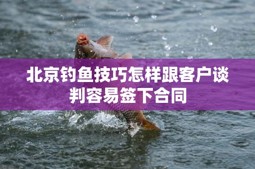 北京钓鱼技巧怎样跟客户谈判容易签下合同