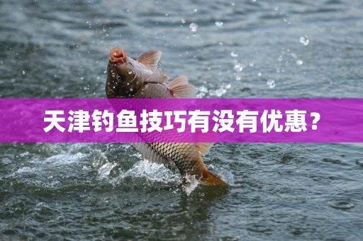 天津钓鱼技巧有没有优惠？