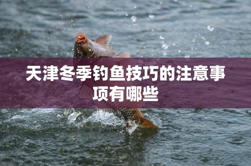 天津冬季钓鱼技巧的注意事项有哪些