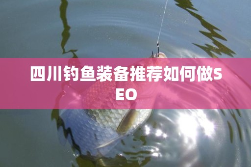 四川钓鱼装备推荐如何做SEO