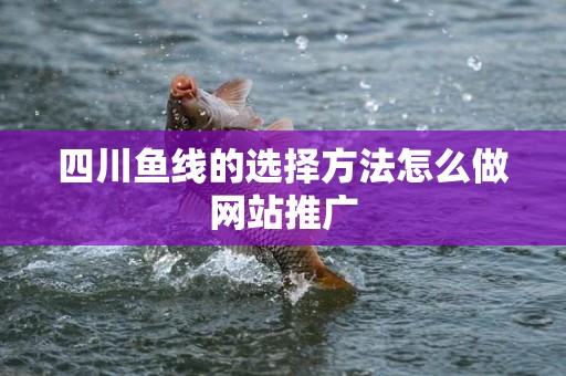 四川鱼线的选择方法怎么做网站推广