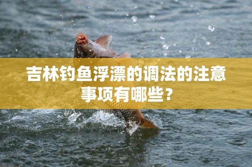 吉林钓鱼浮漂的调法的注意事项有哪些？