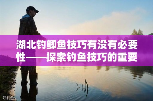 湖北钓鲫鱼技巧有没有必要性——探索钓鱼技巧的重要性