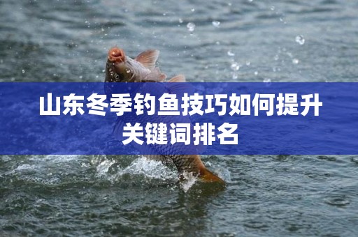 山东冬季钓鱼技巧如何提升关键词排名