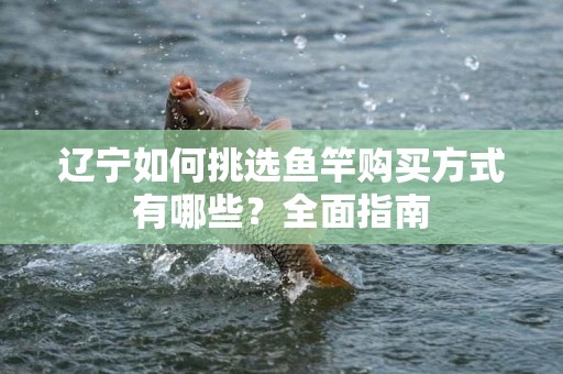辽宁如何挑选鱼竿购买方式有哪些？全面指南