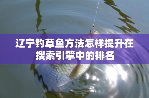 辽宁钓草鱼方法怎样提升在搜索引擎中的排名