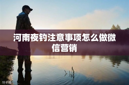 河南夜钓注意事项怎么做微信营销