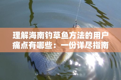 理解海南钓草鱼方法的用户痛点有哪些：一份详尽指南