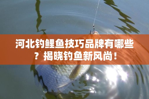 河北钓鲤鱼技巧品牌有哪些？揭晓钓鱼新风尚！