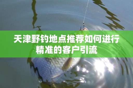 天津野钓地点推荐如何进行精准的客户引流