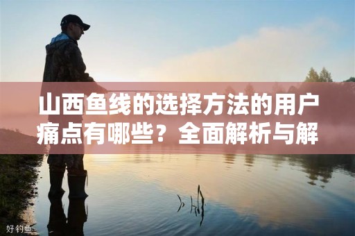 山西鱼线的选择方法的用户痛点有哪些？全面解析与解决方案