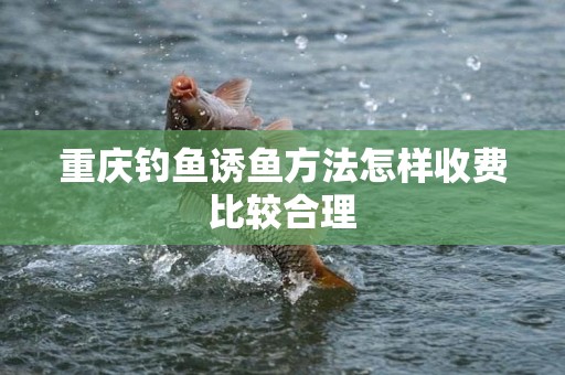 重庆钓鱼诱鱼方法怎样收费比较合理