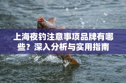 上海夜钓注意事项品牌有哪些？深入分析与实用指南
