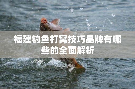 福建钓鱼打窝技巧品牌有哪些的全面解析