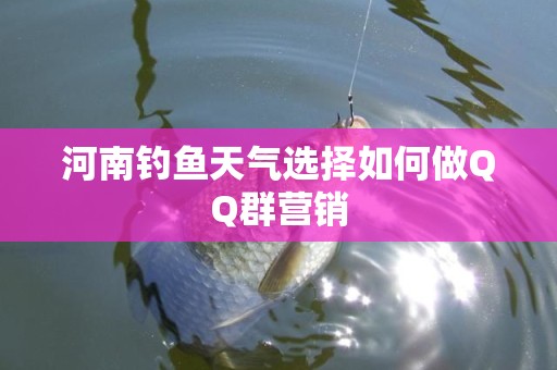 河南钓鱼天气选择如何做QQ群营销
