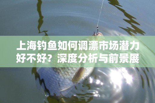 上海钓鱼如何调漂市场潜力好不好？深度分析与前景展望