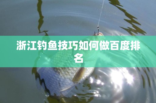 浙江钓鱼技巧如何做百度排名