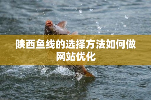 陕西鱼线的选择方法如何做网站优化