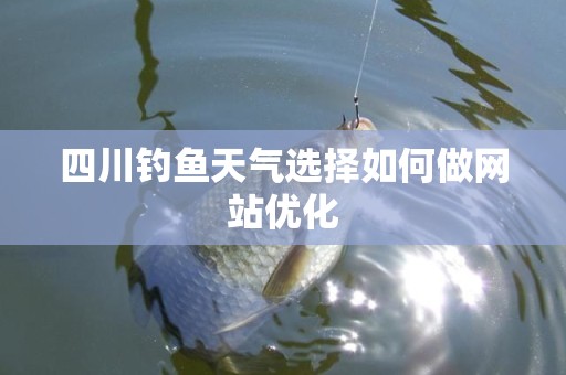 四川钓鱼天气选择如何做网站优化