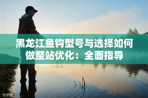 黑龙江鱼钩型号与选择如何做整站优化：全面指导