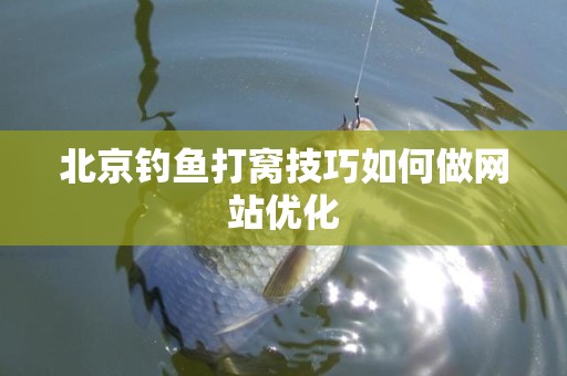 北京钓鱼打窝技巧如何做网站优化