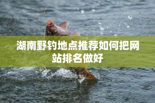 湖南野钓地点推荐如何把网站排名做好