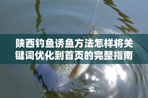 陕西钓鱼诱鱼方法怎样将关键词优化到首页的完整指南