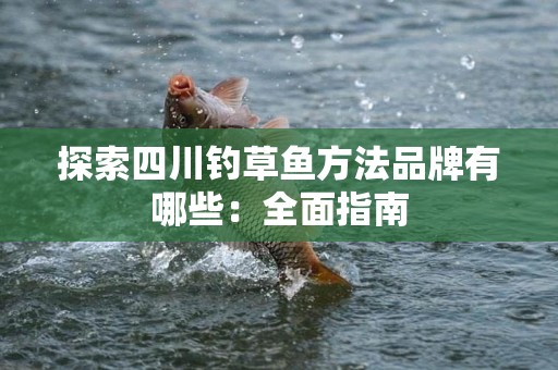 探索四川钓草鱼方法品牌有哪些：全面指南