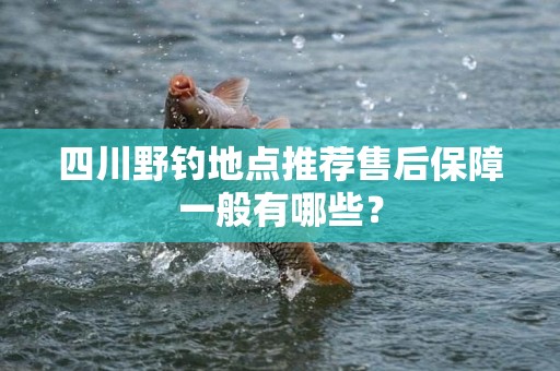 四川野钓地点推荐售后保障一般有哪些？
