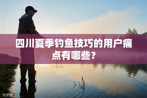 四川夏季钓鱼技巧的用户痛点有哪些？