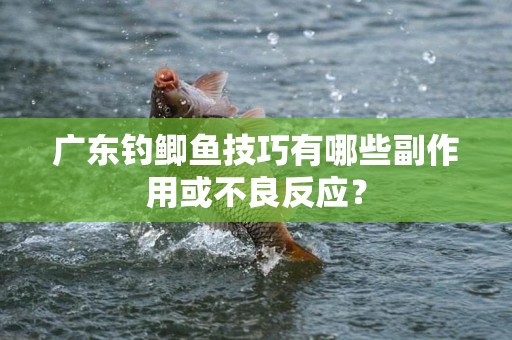 广东钓鲫鱼技巧有哪些副作用或不良反应？