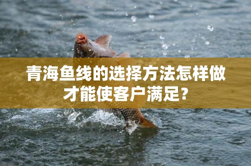 青海鱼线的选择方法怎样做才能使客户满足？