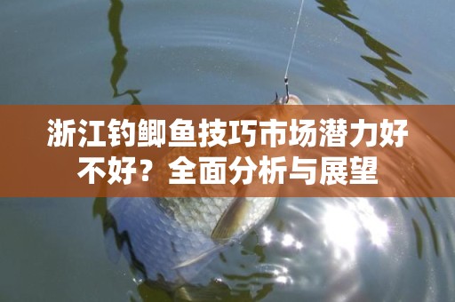 浙江钓鲫鱼技巧市场潜力好不好？全面分析与展望