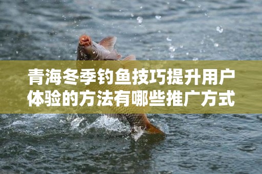 青海冬季钓鱼技巧提升用户体验的方法有哪些推广方式有哪些