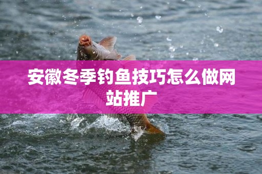 安徽冬季钓鱼技巧怎么做网站推广