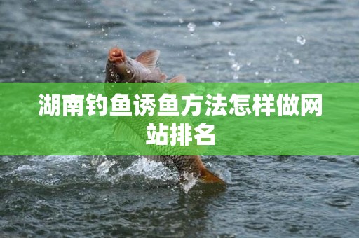 湖南钓鱼诱鱼方法怎样做网站排名