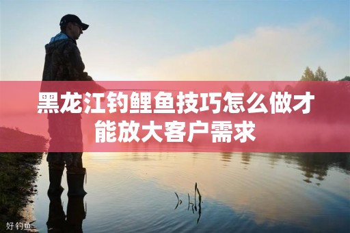 黑龙江钓鲤鱼技巧怎么做才能放大客户需求
