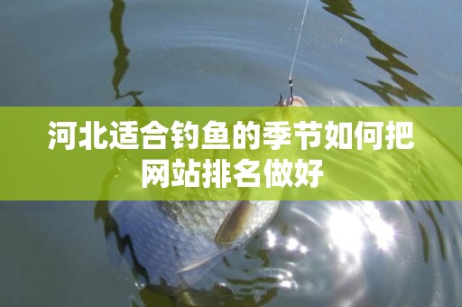 河北适合钓鱼的季节如何把网站排名做好